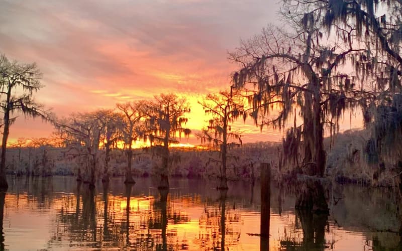 Mossy Brake Camp Caddo Lake Swamp Tours, from its own website