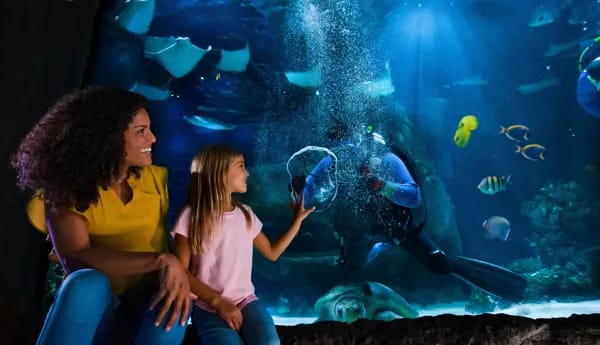 SEA Life Orlando Aquarium, from its own website