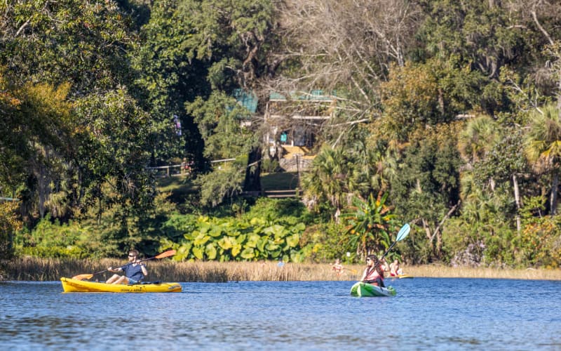 Rainbow Springs State Park, from its own website