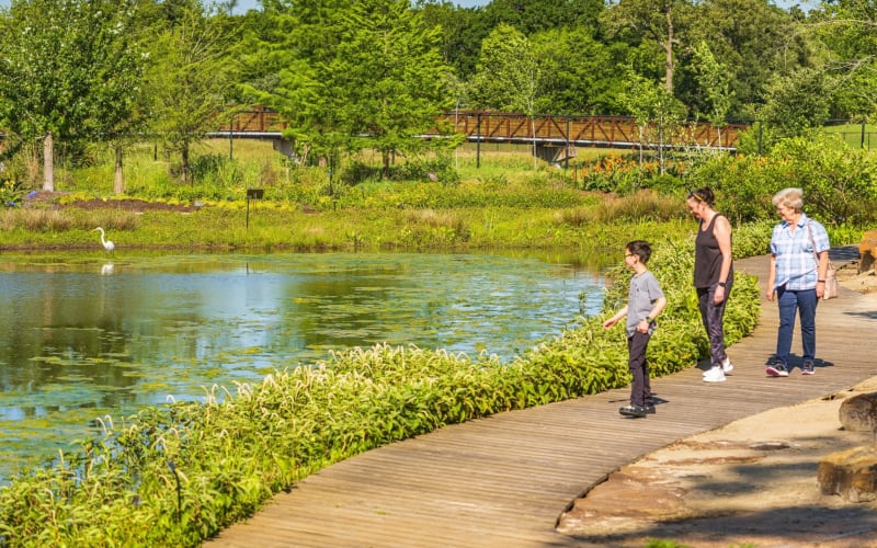 Houston Botanic Garden, from its own website