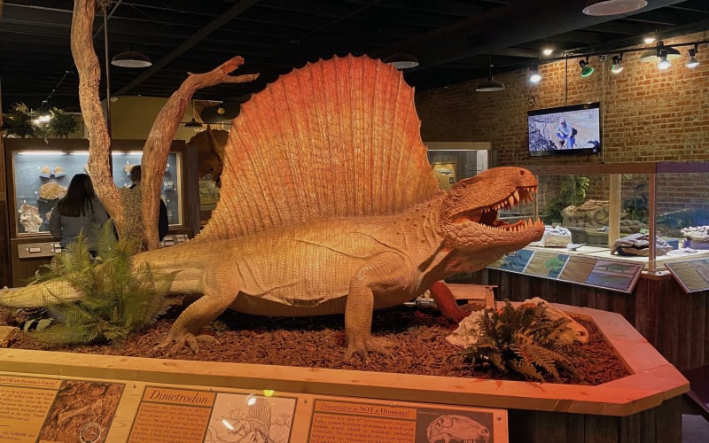 The Whiteside Museum of Natural History, from its own website