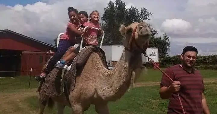 Petting Zoo Ocala, from its own website