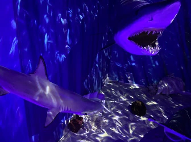 Science & Discovery Center of Northwest Florida, from its own website