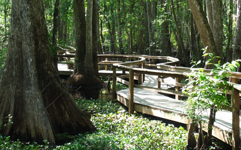 River Ranch Water Park, from its own website