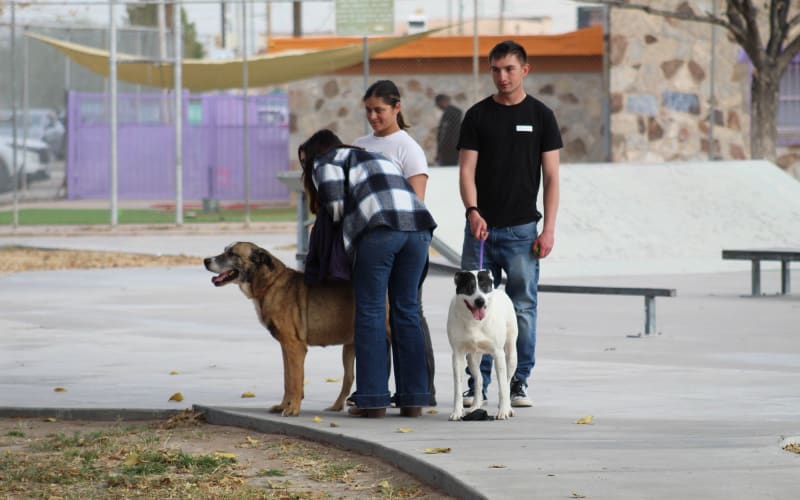 Biggs Park, from its own website