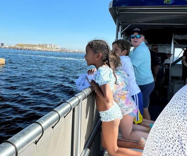 Destin Dolphin Cruise, from its own website