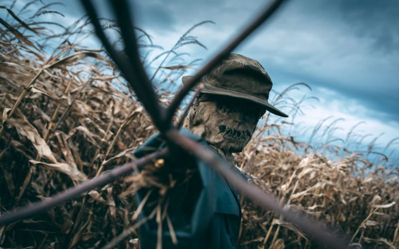 Newberry Cornfield Maze, from its own website