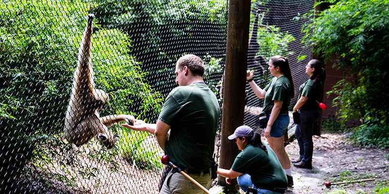Santa Fe College Teaching Zoo, from its own website