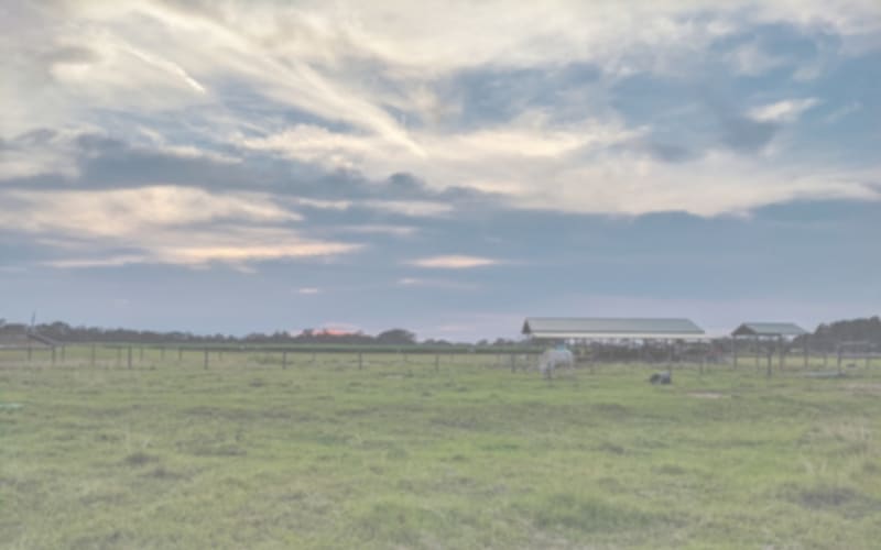 Holland Farms, from its own website