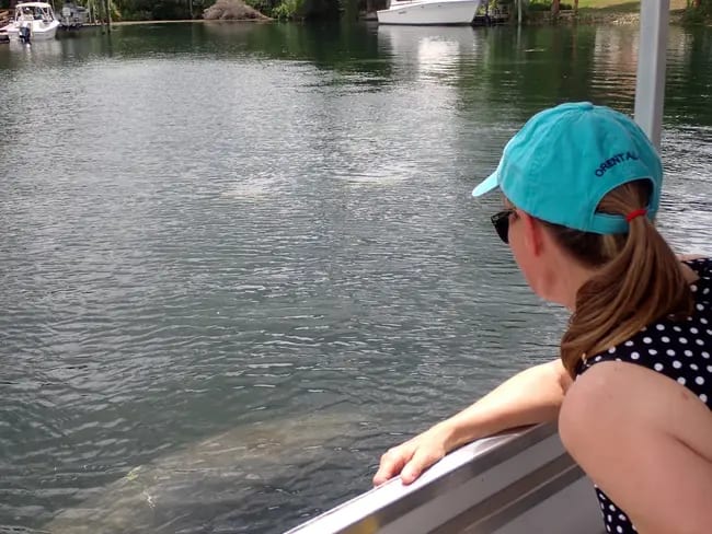 Crystal River Aquarium, from its own website