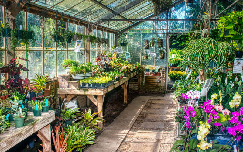 USF Botanical Gardens, from its own website