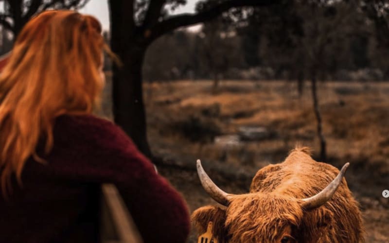 Cow Creek Farm, from its own website