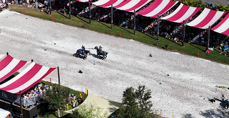 Sarasota Medieval Fair, from its own website