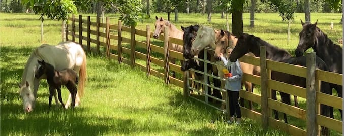 Family Orchards Farm, from its own website