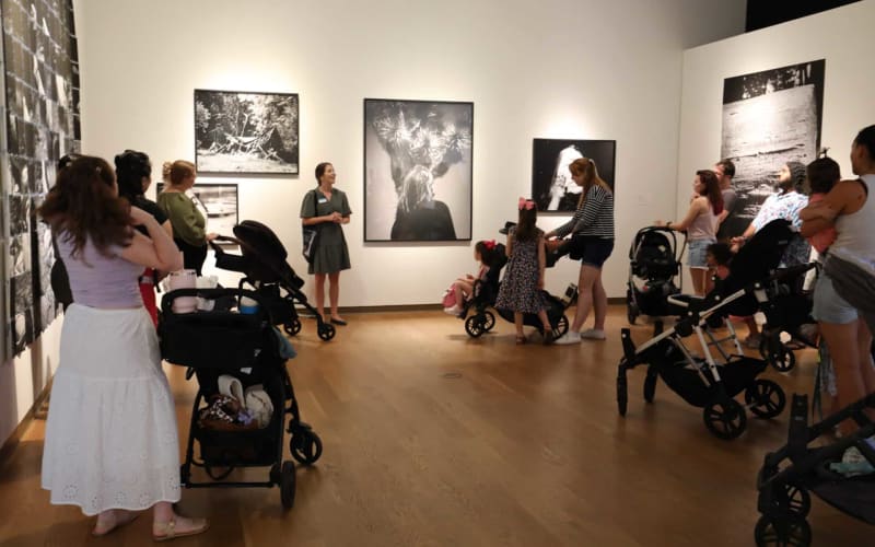 Orlando Museum of Art, from its own website