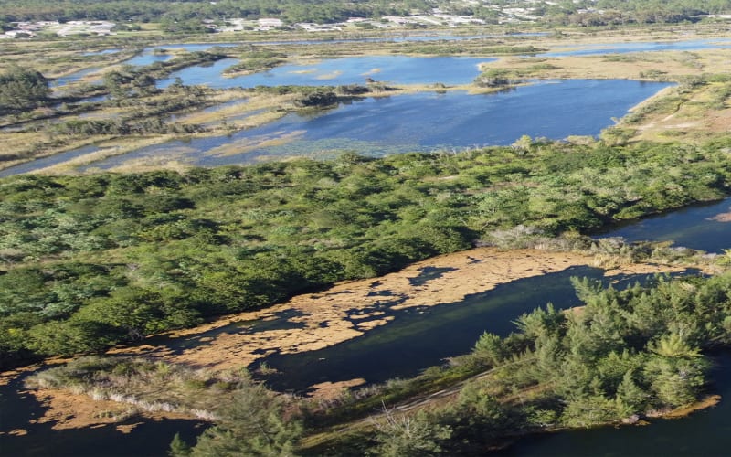 Frank Mann Preserve, from its own website