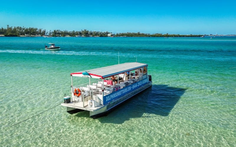 Dolphin & Sunset Tours, from its own website