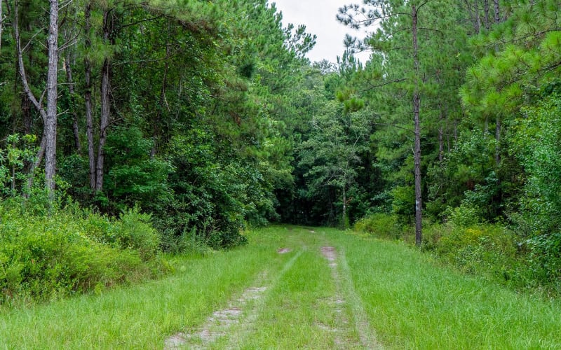 Gourd Island, from its own website