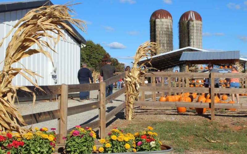 Cagle's Family Farm, from its own website