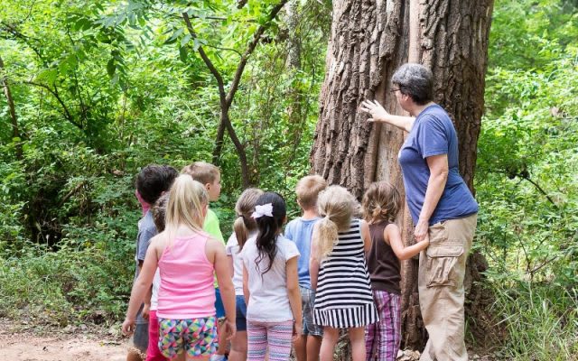 River Bend Nature Center, from its own website
