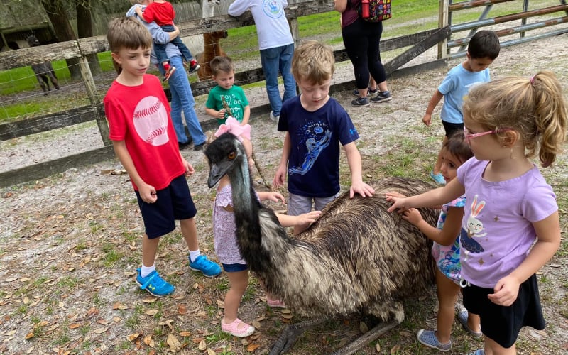 Two Old Goats Farm & Playtime, from its own website