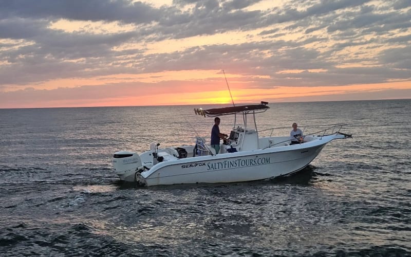 Salty Fins Dolphin and Snorkeling Tours, from its own website
