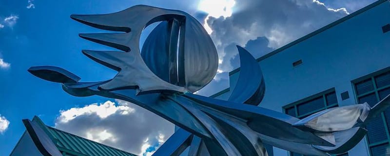 Carrollwood Cultural Center, from its own website