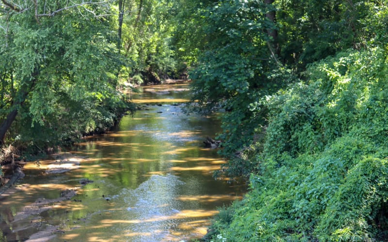 Blue Heron Nature Preserve, from its own website