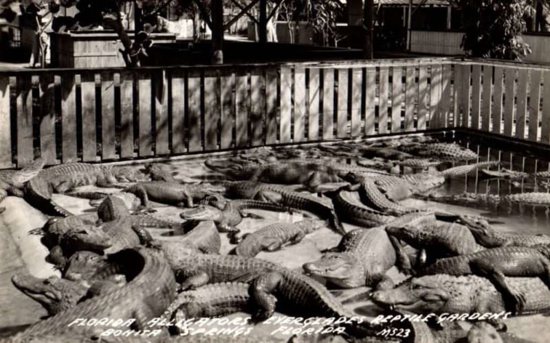 Wonder Gardens, from its own website