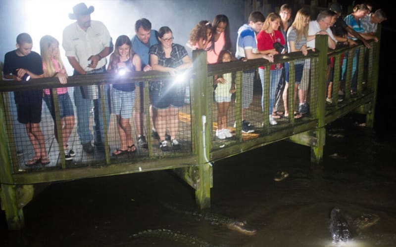 Gatorland, from its own website