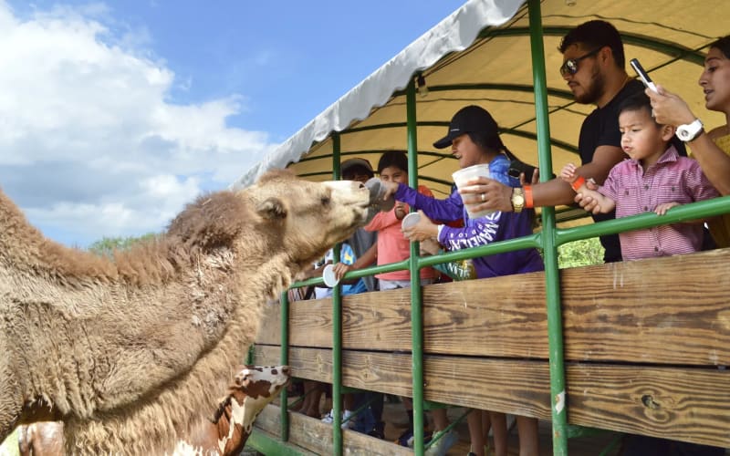 Fragile Planet Wildlife Park, from its own website