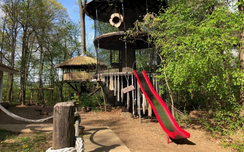 Treehouse World, from its own website