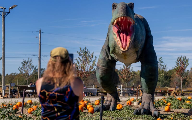 Roba Family Farms, from its own website
