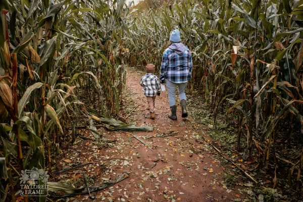 Sissons' Pumpkin Patch, from its own website