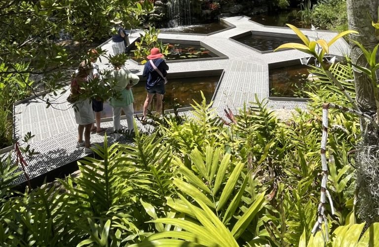 Mounts Botanical Garden, from its own website