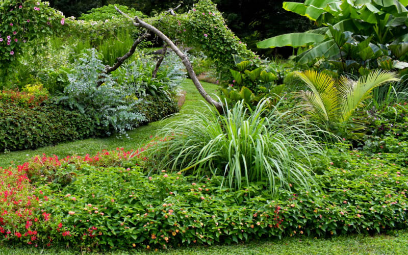 Morris Arboretum & Gardens of the University of Pennsylvania, from its own website
