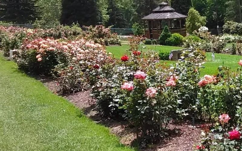 Rose Garden at McKeesport Garden Club, from its own website