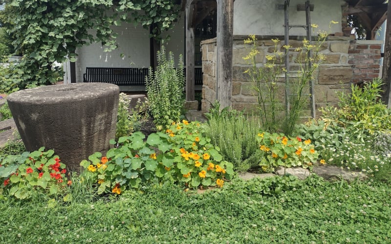 Harmony Museum, from its own website