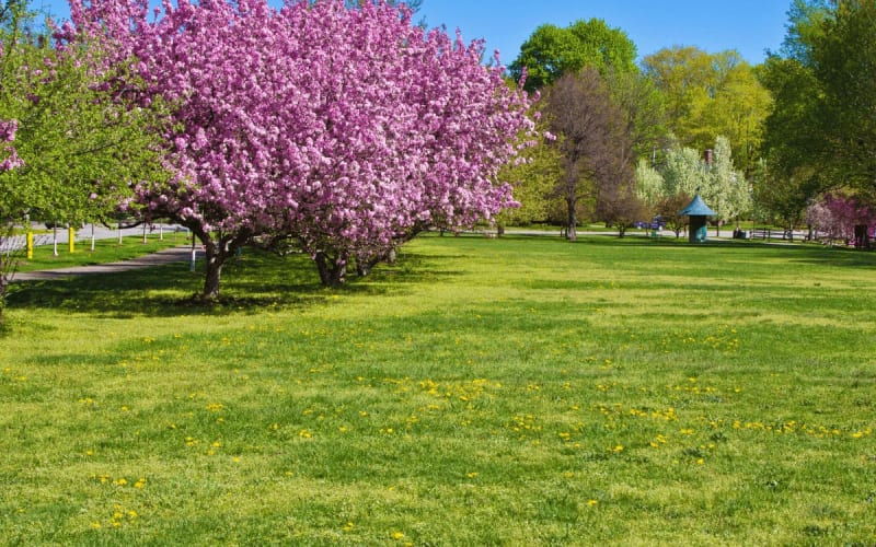Lake Erie Arboretum at Frontier Park, from its own website