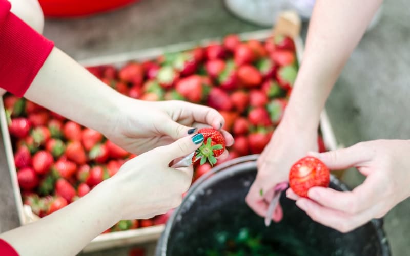 Ziesenheim Fruit Farm, from its own website