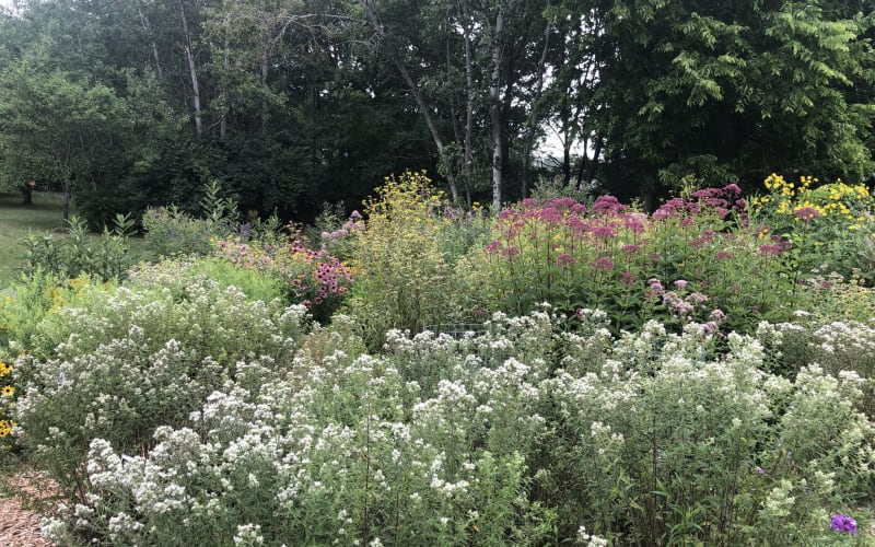 Snetsinger Butterfly Garden, from its own website
