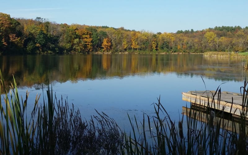 Opossum Lake, from its own website