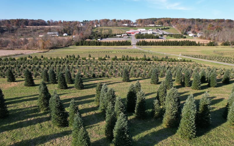 Pioneer Evergreen Farms, from its own website