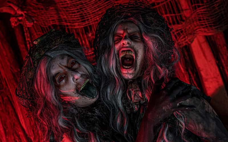 Woods of Terror, from its own website