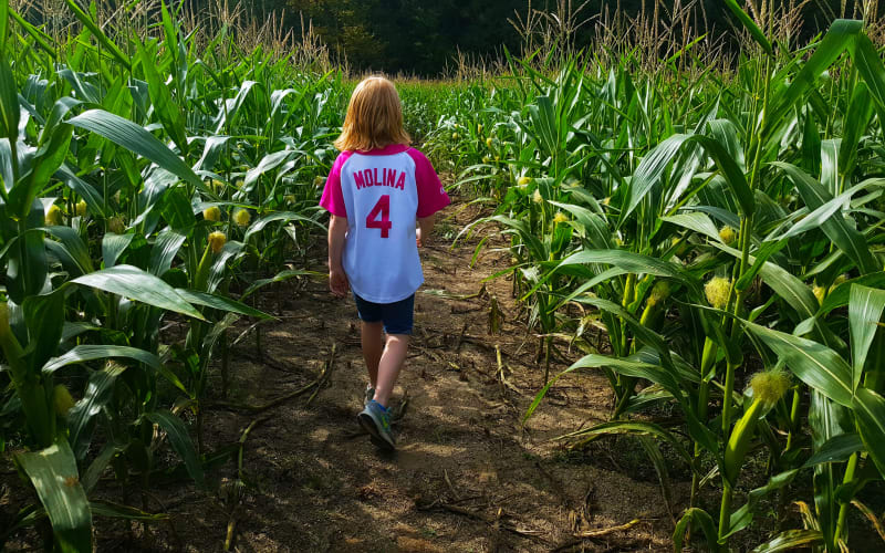 Crossroads Corn Maze, from its own website