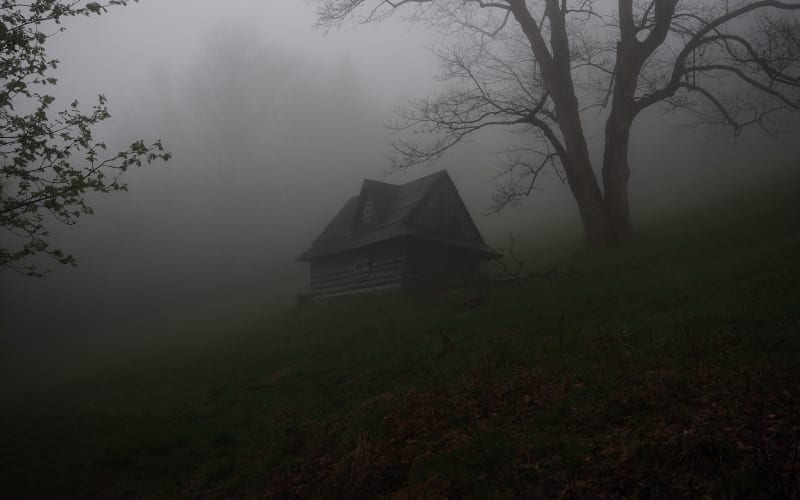 Ghosts of Davidson, from its own website