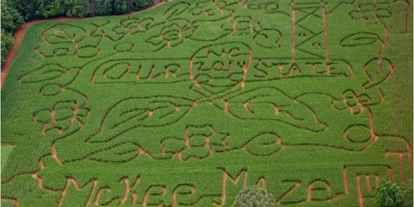 McKee CornField Maze, from its own website