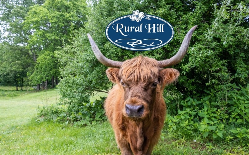 Rural Hill Nature Preserve, from its own website