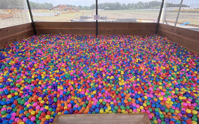 Tart's Mega Corn Maze, from its own website