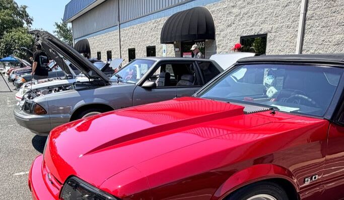 Mustang Owner's Museum, from its own website